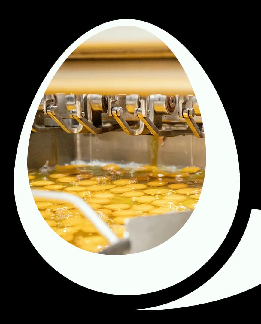 Processo industrial de pasteurização de ovos na Fast Eggs